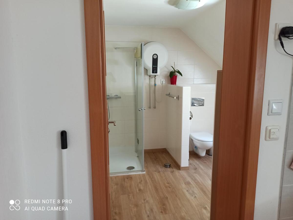 Horní Planá Apartma Na Lipne 아파트 외부 사진