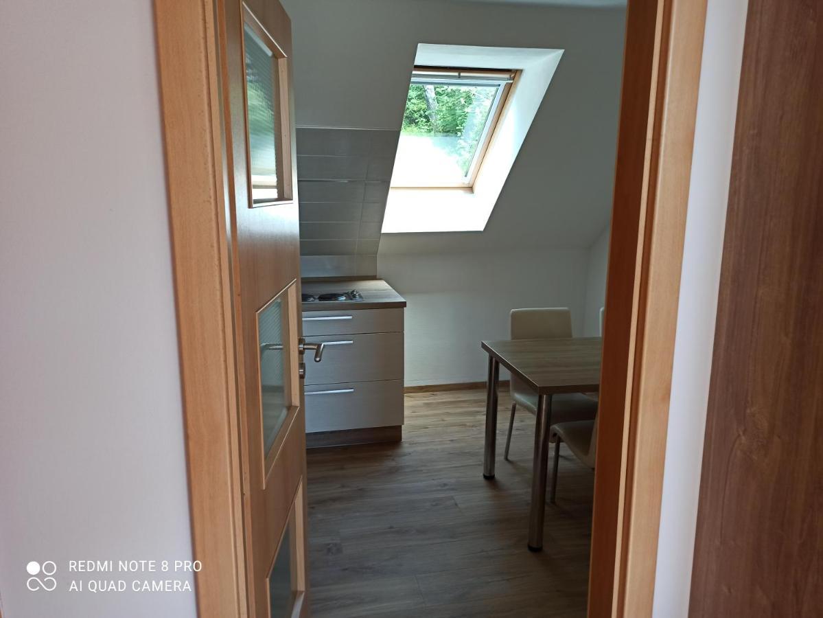 Horní Planá Apartma Na Lipne 아파트 외부 사진