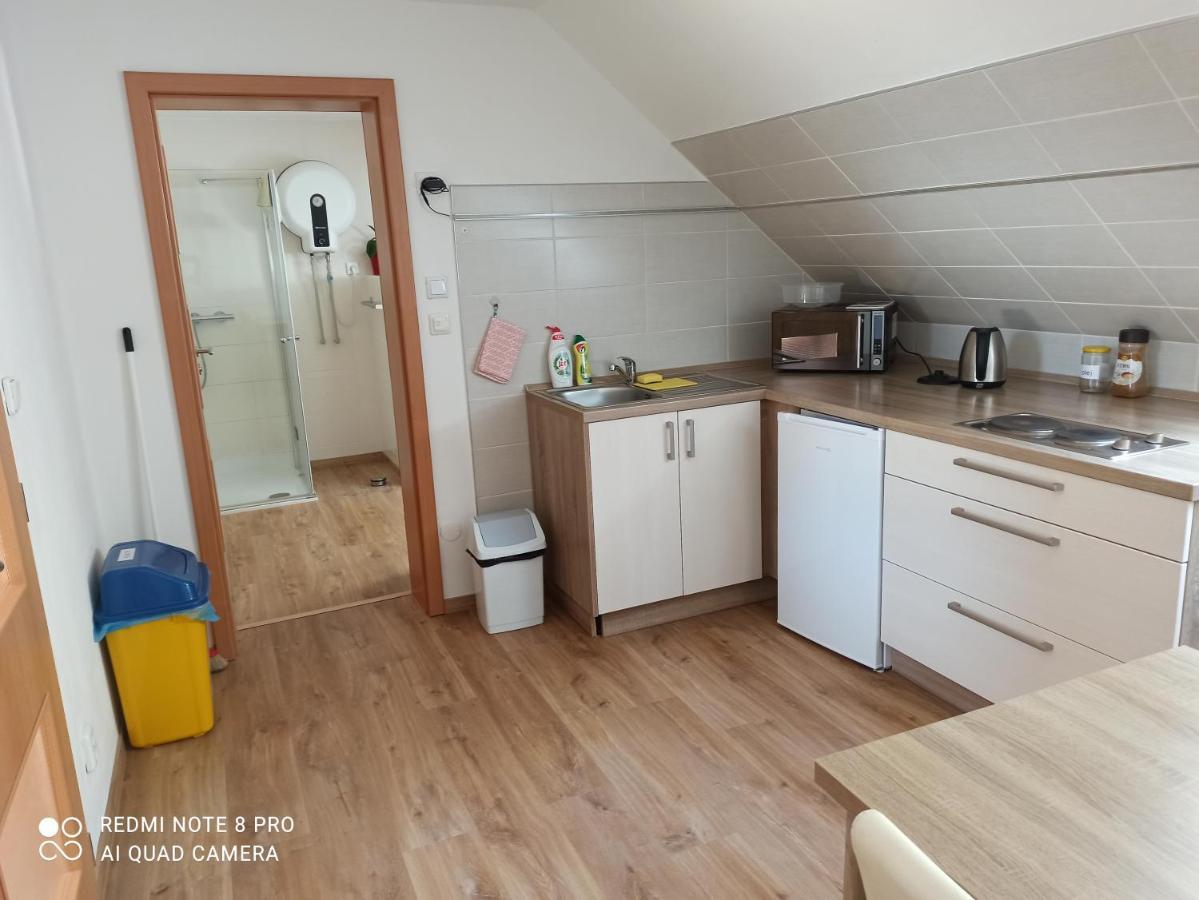 Horní Planá Apartma Na Lipne 아파트 외부 사진